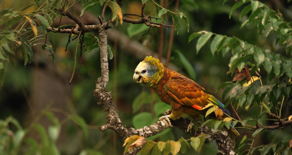 Life on the&nbsp;Farm