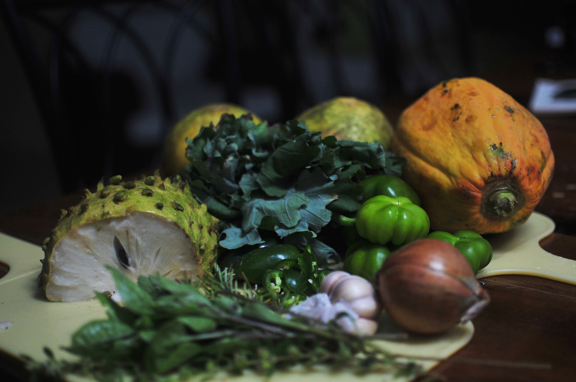 Blog about our stay at Amazona Nest Saint Vincent