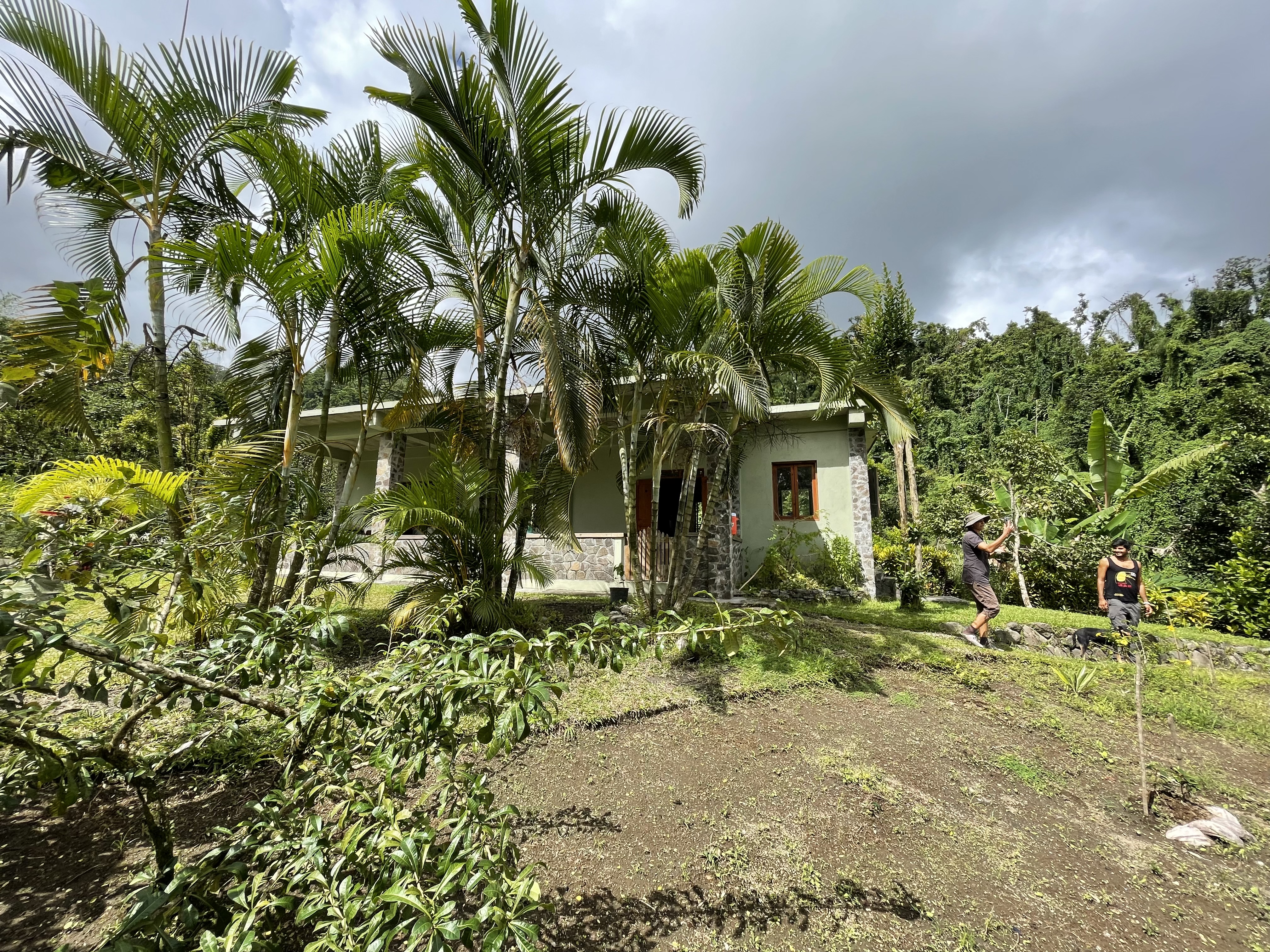 Our home from home - Amazona Nest