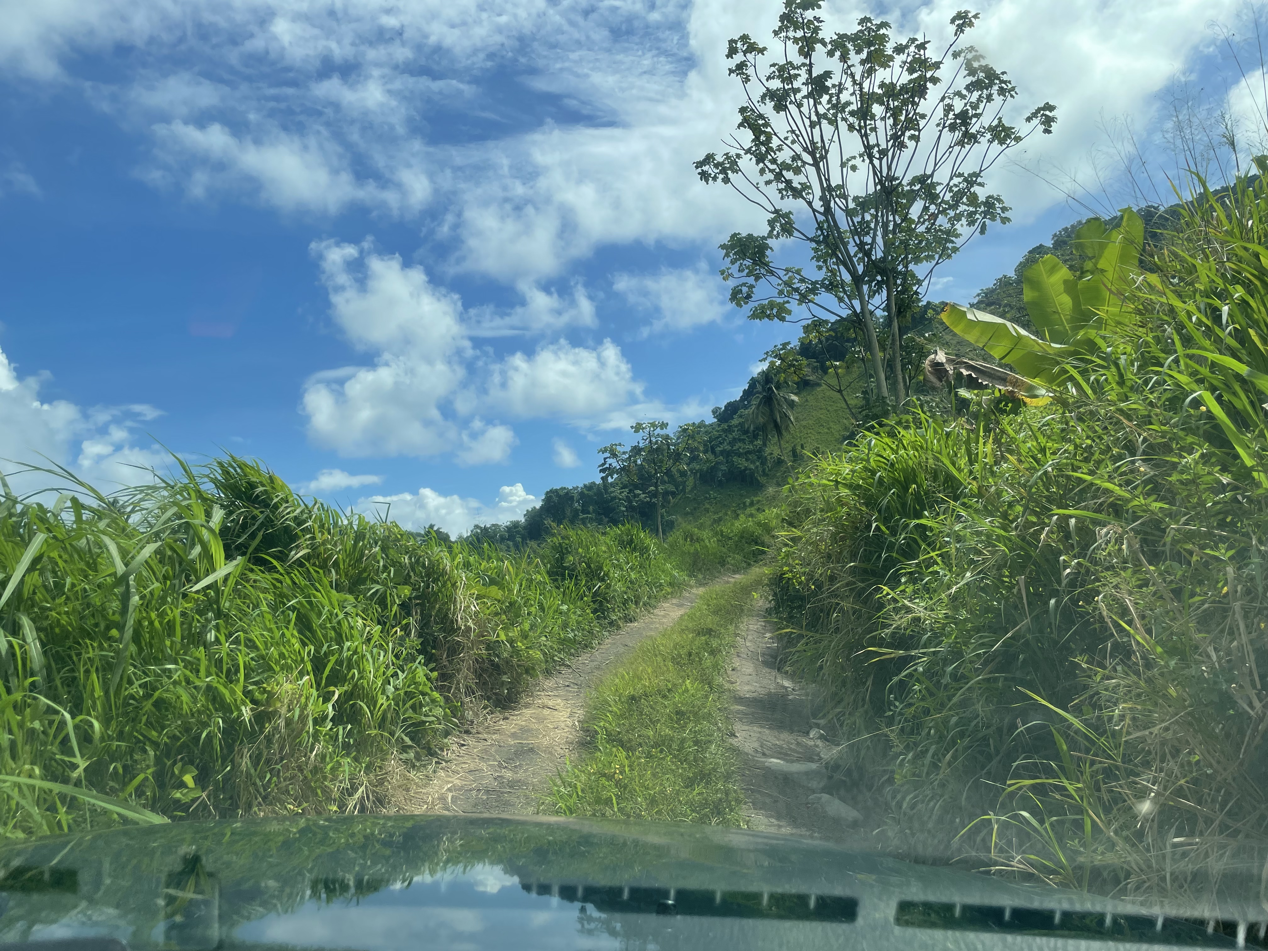 Our drive back to tranquillity